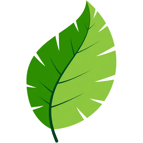Natural Pine Aroma Icon