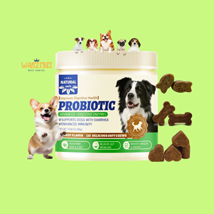 Pet Health Care Supplements Probiotic Chews